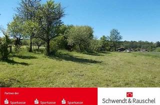 Grundstück zu kaufen in 63697 Hirzenhain, Hirzenhain-Merkenfritz: Grünland Freizeitgrundstück
