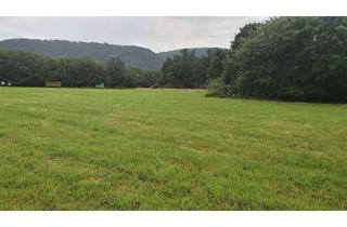 Grundstück zu kaufen in 34513 Waldeck, Grundstücke : Halbinsel Scheid Edersee