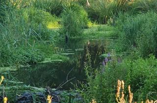 Gewerbeimmobilie kaufen in Rohpappe, 39291 Magdeburgerforth, GRUNDSTÜCK - CA. 6 HEKTAR, EHEMALS ,,Die Papiermühle zu M´forth" ZUM VERKAUF!!!