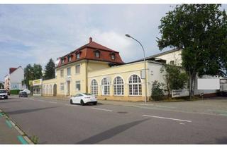 Büro zu mieten in 77652 Offenburg, Büroräume, neu renoviert (ca. 300 qm) und Lagerfläche neben Mc Donald's Offenburg, zu vermieten