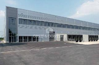 Gewerbeimmobilie mieten in 44536 Lünen, Neubau-Logistikzentrum an der A2 | 10,50 m UKB | WGK3-fahig | Anmietung über Greif & Contzen