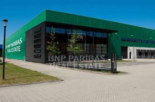 Gewerbeimmobilie mieten in 06796 Brehna, Hochwertige Logistikentwicklung in Sichtlage zur BAB 9