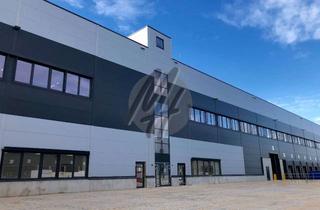 Büro zu mieten in 52349 Düren, KEINE PROVISION ✓ NEUBAU / ERSTBEZUG ✓ Lager-/Logistik (27.000 m²) & Büro-/Sozial (1.500 m²)