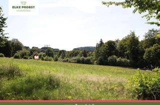 Grundstück zu kaufen in Herzogau, 93449 Waldmünchen, Freizeitgrundstück beim Bergdorf mit Ausblick und Größe