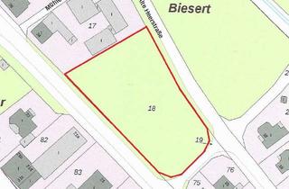 Grundstück zu kaufen in Hauptstraße, 47559 Kranenburg, Großes Baugrundstück für 4 EFH oder 8 DHH.