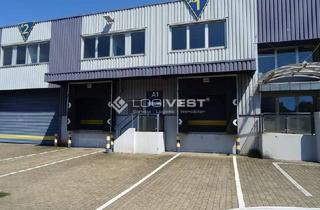 Gewerbeimmobilie mieten in 64521 Groß-Gerau, Lager- und Produktionshalle in Groß Gerau