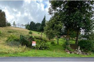 Grundstück zu kaufen in 96515 Oberlind, Baugrundstück im Thüringer Wald - Landkreis Sonneberg - Gemeinde Haselbach