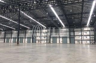 Gewerbeimmobilie mieten in 01561 Schönfeld, ca. 6.300 m² | moderne Hallenflächen | Industriefußboden | WGK | Rampen | Gr. Zufahrtstore