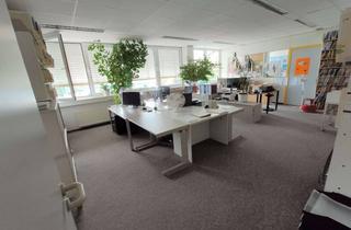 Büro zu mieten in Schultheiß-Kollei-Straße 25, 55411 Bingen am Rhein, Große und helle Büro-Flächen in verkehrsgünstiger Lage im Herzen von Bingen-Büdesheim