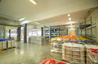 Lager mieten in Schultheiß-Kollei-Straße 25, 55411 Bingen, Große Lager-/ bzw. Produktionsflächen in verkehrsgünstiger Lage im Herzen von Bingen-Büdesheim