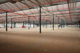 Gewerbeimmobilie mieten in 67112 Mutterstadt, Lager / Logistik | mehrere Rampe und Tore | 5,00 m UKB
