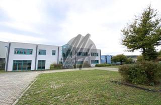 Gewerbeimmobilie kaufen in 64297 Eberstadt, VERKAUF! Gewerbeobjekt (9.000 m² Grundstück) Lager-/Produktion (4.000 m²) & Büro (900 m²)
