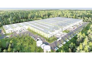 Gewerbeimmobilie mieten in 14823 Niemegk, Hallenneubau im Industriegebiet - AREAL 9 - Niemegk -