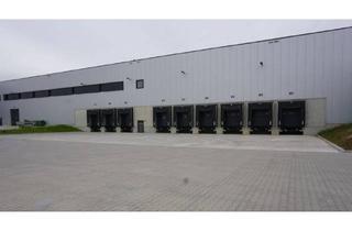 Gewerbeimmobilie mieten in 91555 Feuchtwangen, "BAUMÜLLER & CO." - ca. 20.000 m² NEUBAU Hallenfläche - Anmietung von Teilflächen möglich!