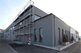 Büro zu mieten in 86381 Krumbach, Bürofläche individuell gestalten im Fachmarktzentrum