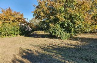 Grundstück zu kaufen in Vorm Dorfe, 32312 Lübbecke, Baugrundstück in gewachsenem Umfeld