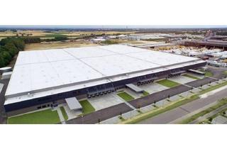 Gewerbeimmobilie mieten in 68642 Bürstadt, "BAUMÜLLER & CO." - ca. 35.000 m² Hallenfläche - NEUBAU - mit Rampen- und ebenerdiger Andienung