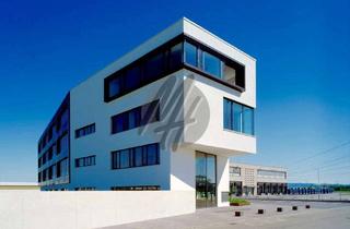Büro zu mieten in 65936 Sossenheim, KEINE PROVISION ✓ RAMPE + EBEN ✓ Lagerflächen (4.000 m²) & Büroflächen (3.000-6.000 m²) zu vermieten