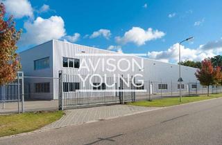 Büro zu mieten in 22885 Barsbüttel, Lager/Handelsfläche mit Büro direkt in Barsbüttel