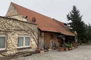 Mehrfamilienhaus kaufen in 67229 Gerolsheim, Ehemalige Gaststätte mit vielen Ausbaumöglichkeiten zum Ein- oder Mehrfamilienhaus!