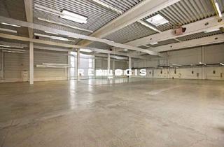 Gewerbeimmobilie mieten in 65824 Schwalbach am Taunus, Ca. 1.000 qm Lager- / Ausstellungsfläche | Rampe + ebenerdig | 6,00m UKB