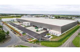 Gewerbeimmobilie mieten in 59368 Werne, "BAUMÜLLER & CO." - Logistikneubau - 14.000 m² Hallenfläche - in exklusiver Lage