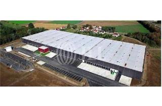Gewerbeimmobilie mieten in 18196 Dummerstorf, 30.000 m² Neubau-Logistik am Kreuz Rostock-ab 4Q 22
