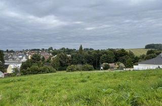 Grundstück zu kaufen in 08485 Lengenfeld, Grundstücke, Vogtlandkreis