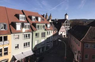 Wohnung mieten in Gänsmarkt, 97980 Bad Mergentheim, Große Dachgeschosswohnung rechte Seite mit Blick auf´s Land