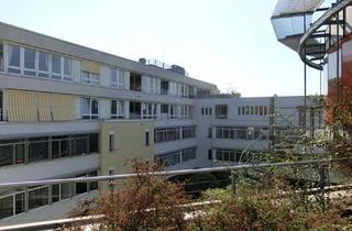 Wohnung mieten in Äussere Schneeberger, 08056 Mitte-Süd, 2-Raum Maissonette-Wohnung mit Dachterrasse im Zentrum