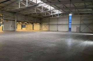 Gewerbeimmobilie mieten in Alte Gasse, 77794 Lautenbach, Lagerhalle zu vermieten! Beheizbar! 1200 m²!