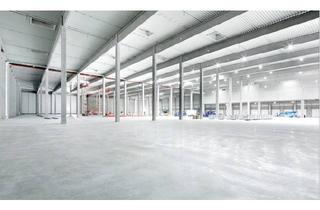 Gewerbeimmobilie mieten in 34225 Baunatal, "BAUMÜLLER & CO." - ca. 50.000 m² Hallenfläche - ebenerdige Andienung + Rampe