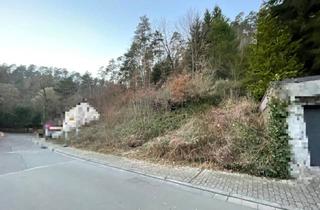 Grundstück zu kaufen in 67475 Weidenthal, Zwei schöne Hanggrundstücke inmitten vom Pfälzer Wald in 67475 Weidenthal