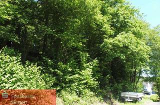 Grundstück zu kaufen in 57250 Netphen, Wohnbaugrundstück in guter Lage von Netphen