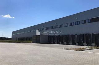 Gewerbeimmobilie mieten in 46537 Dinslaken, "BAUMÜLLER & CO." - ca. 40.000 m² hochwertiger Logistikneubau - Rampenlager an BAB