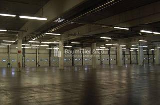 Gewerbeimmobilie mieten in 15745 Wildau, "BAUMÜLLER & CO." - ca. 10.000 m² Logistik-Neubau - Rampenlager nahe A10/A13