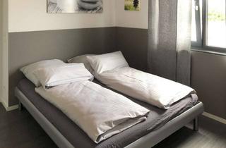 Wohnung mieten in 63868 Großwallstadt, Schönes 2-Zimmer-Apartment voll möbliert - Highlight ist der Seeblick, Großwallstadt
