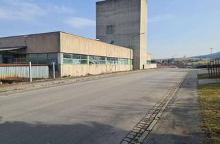 Gewerbeimmobilie mieten in Ambruckerstraße 19, 93444 Bad Kötzting, ehem. Holzfabrik zu vermieten