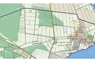 Gewerbeimmobilie kaufen in 18347 Dierhagen, Landwirtschaftfläche zu Verkaufen am Ostsee