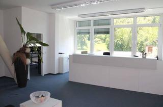 Büro zu mieten in 71229 Leonberg, PROVISIONSFREI - ca. 328 qm REPRÄSENTATIVE Büroflächen zu vermieten!