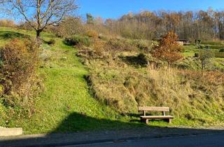 Grundstück zu kaufen in 63639 Flörsbachtal, Grundstück für Bauherren mit viel Platzbedarf in Flörsbach!