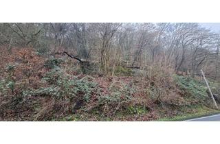 Grundstück zu kaufen in Am Schlossberg, 58300 Wetter, Waldgrundstück in Volmarstein zu verkaufen