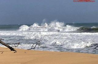 Grundstück zu kaufen in 70173 Stuttgart, Stuttgart - Grundstück in Costa Rica in einer der blauen Zonen der Erde