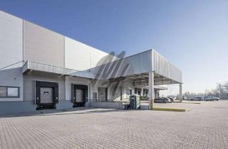 Büro zu mieten in 35398 Gießen, KEINE PROVISION ✓ NEUBAU ✓ Lager-/Logistikflächen (17.300 m²) & Büroflächen (600 m²) zu vermieten