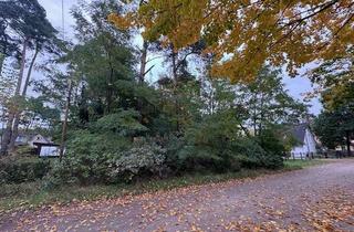 Grundstück zu kaufen in 15345 Rehfelde, Traumhaftes, naturbelassenes Baugrundstück! Privatverkauf-unbebaut!