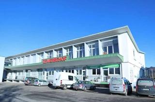 Gewerbeimmobilie mieten in Leutkircher Str. 50, 88316 Isny, Vielseitig nutzbare Gewerbefläche im 1. OG zu vermieten