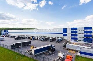 Gewerbeimmobilie mieten in 34590 Wabern, Projektierter Neubau einer Logistikhalle in sehr verkehrsgünstiger Lage nahe der A49!