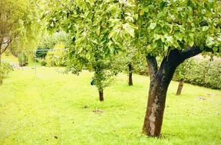 Grundstück zu kaufen in 04610 Meuselwitz, Reduzierter Preis! Gepflegtes Baugrundstück in guter Lage Wintersdorf mit ca. 650 m2