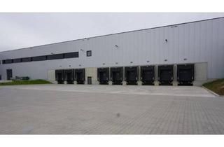 Gewerbeimmobilie mieten in 38518 Gifhorn, "BAUMÜLLER & CO." ca. 15.000 m² Lager-/Produktionsfläche / Anmietung von Teilflächen möglich!