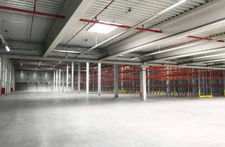 Gewerbeimmobilie mieten in 44625 Holsterhausen, 8.000 m² Neubauhalle nach Mieterwunsch
